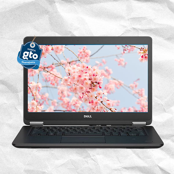 dast1_0002_DELL LATITUDE E7450 G